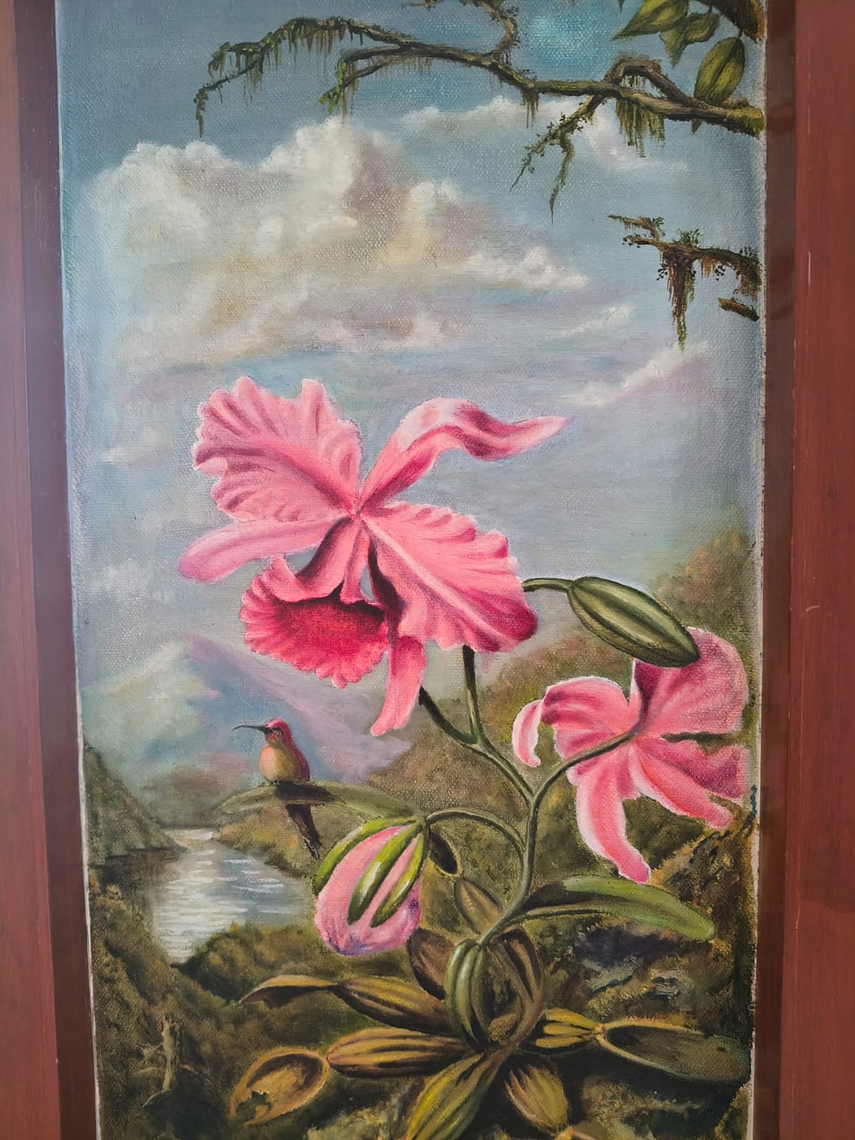 Portfolio image 1